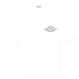 Dior x Jordan Wings Logo Short Sleeve White Shirt