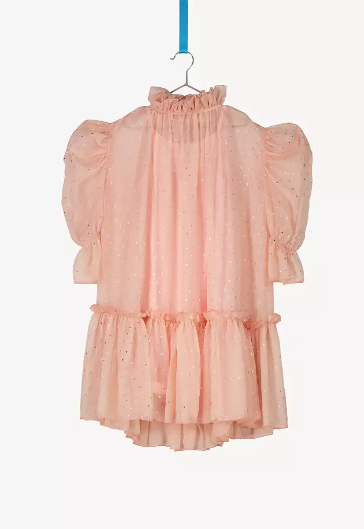 Ruffle Neckline Organza Dress